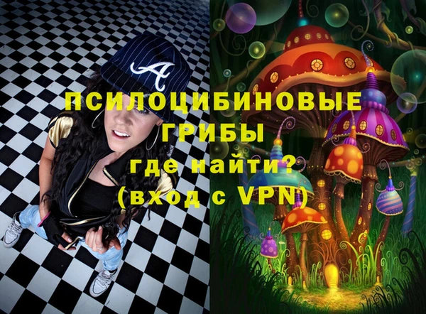 ешки Верея