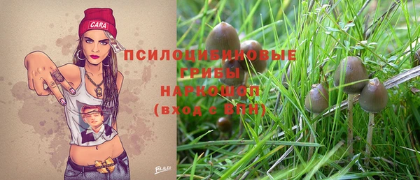 ешки Верея