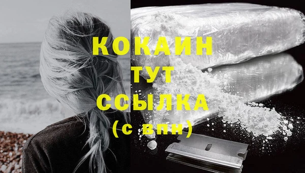 мяу мяу кристалл Переславль-Залесский