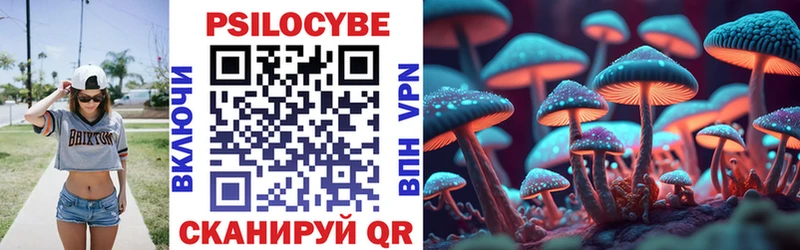 магазин продажи   Северск  Псилоцибиновые грибы Psilocybine cubensis 