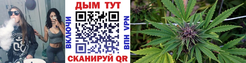 Шишки марихуана OG Kush Северск